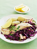 Fish fillet with apple and red cabbage salad and new potatoes
