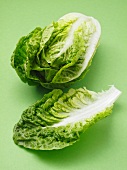 A cos lettuce and a single leaf