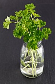 Fresh parsley in a bottle of water
