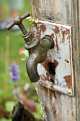 Alter Garten-Wasserhahn aus Messing an verwittertem Holzbrett montiert