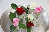 Roses of different colours in glass vases on tray
