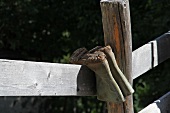 Wellington boots hung on wooden fence in South Tyrol