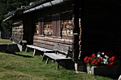 Old mountain cabin with geraniums in an Alpine pasture