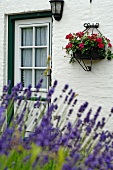 Entrance to a country house