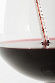 Rotweinglas mit Thermometer