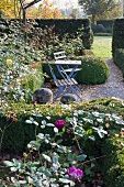 Herbststimmung in parkähnlichem Garten - Letzte Sonnenstrahlen auf Sitzplatz