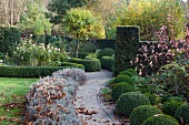 Topiary hedges and bushes in autumnal atmosphere of park-like garden