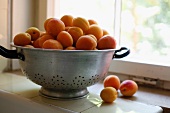 Fresh apricots in a colander