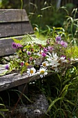 Bouquet of wild flowers on garden bench
