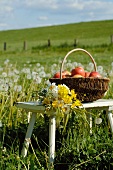 Basket with apples and bunch of flowers in meadow