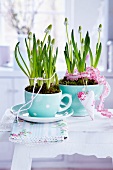 White grape hyacinths planted in cup and cereal bowl and decorated with ribbons and fabric heart