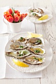 Oysters with parsley butter in salt