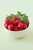 A bowl of fresh radishes