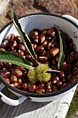 Fresh chestnuts in an enamel pot