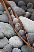 Pebbles in dried leaf