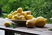 Zitronen in Schale auf Holzbank im Freien