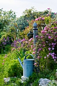 Nostalgische Giesskanne vor Brunnen in mediterranem Garten mit Rosenbusch.