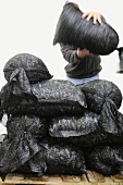 Sacks of fresh mussels from Normandy being stacked