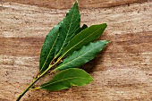 A bay leaf sprig on a wooden surface