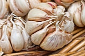 Garlic bulbs in a basket at a market (Fuitnchal, Madeira, Portugal)