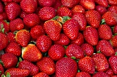 Strawberries (full-frame)