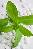 Stevia plant leaves and stevia tablets