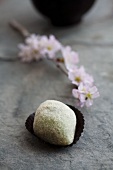Mochi (Japanese rice cake) with cherry blossoms