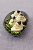 Stuffed eggs with smoked mackerel paste and caviar on a bed of cress