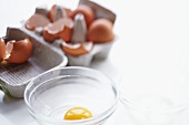 Egg Cracked in a Glass Bowl; Carton with Cracked Egg Shells