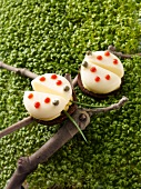 Ladybirds made of pumpernickel and cheese