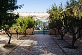 Herrschaftlicher Gartenanlage mit Orangenbäumen