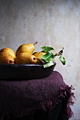 Wooden Bowl Filled with Kieffer Pears