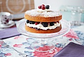 Sponge cake with berries, cream and icing sugar