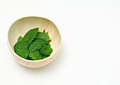 Mint leaves in calabash gourd bowl