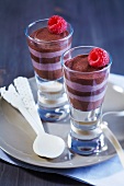 Layered mousse au chocolat and raspberry mousse desserts