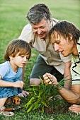 Little boy gardening with father and grandfather