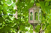 Marokkanische Laterne hängt in dichtem Blätterwerk