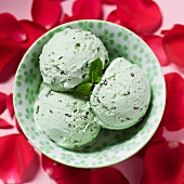Mint chocolate chip ice cream in a bowl surrounded with rose petals
