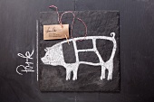 A sketch of a pig and an English label on a chalkboard