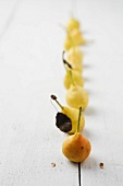 A row of Ya li pears on a wooden surface