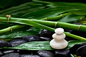 Three stacked white pebbles on dark pebbles with bamboo stems