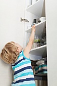 A little boy reaching for something in a kitchen cupboard