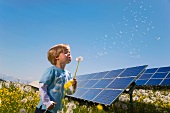 Kleiner Junge mit Pusteblume vor Solaranlage