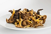 Fresh forest mushrooms on a plate