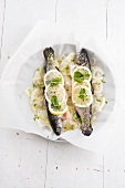 Baked trout with lemon, fennel and basil