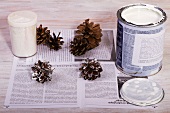 Painting pine cones white (Christmas decoration)