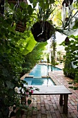 Bench along in ground swimming pool