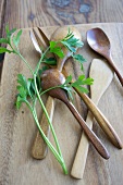 Wooden cutlery with sprigs of parsley
