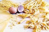 Various types of homemade egg pasta