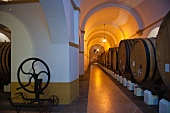 Barrel cellar at the Fundacao Eugenio de Almeida winery (Portugal)
